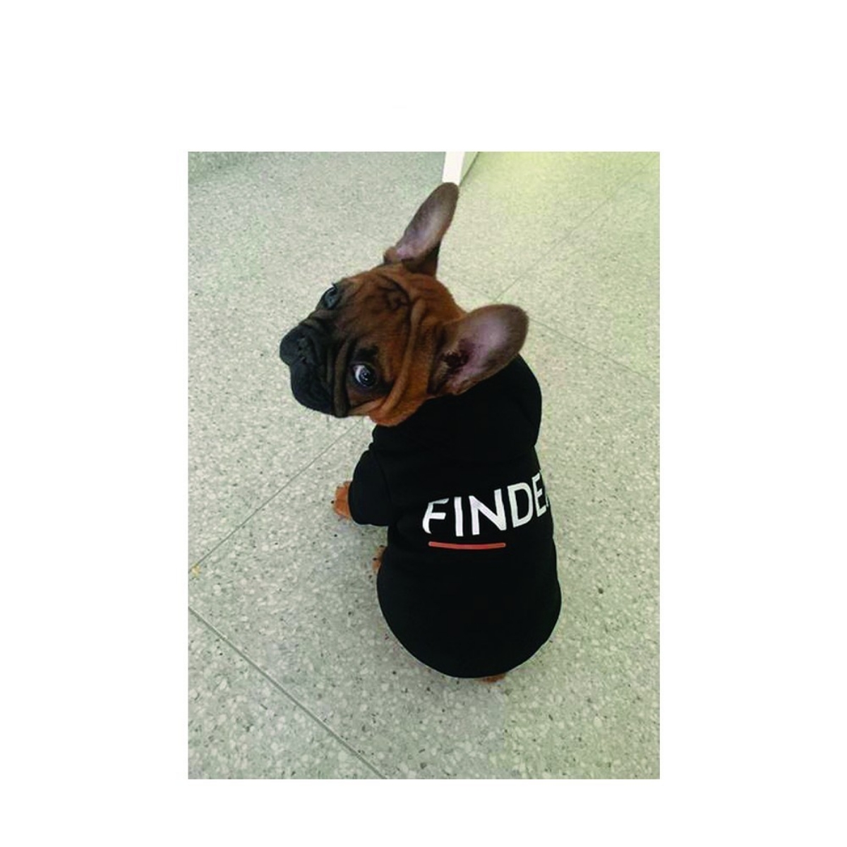 Picture of Black Dog Hoodie